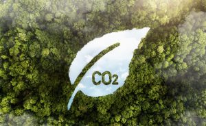 Foto van een bos vanaf de bovenzijde gezien met daarop een illustratie van een boom blad met daarin de tekst CO2